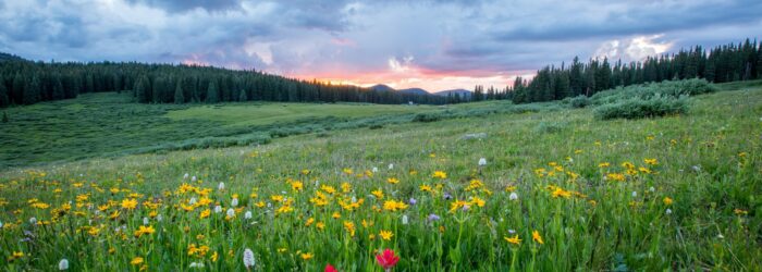 Prairie