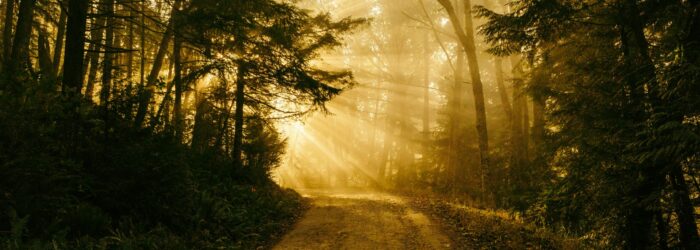 Chemin