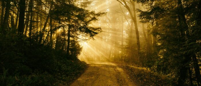 Chemin