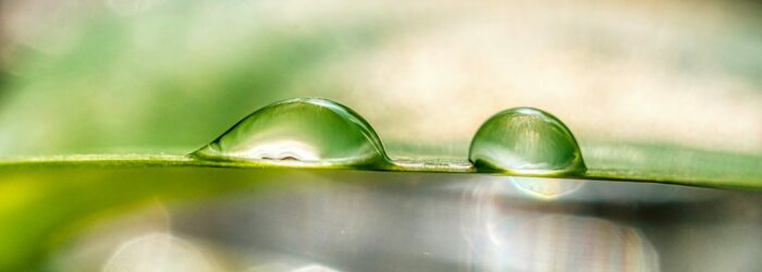 Gouttes d'eau