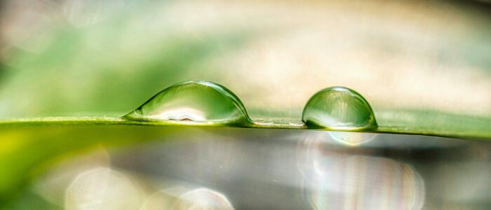 Gouttes d'eau