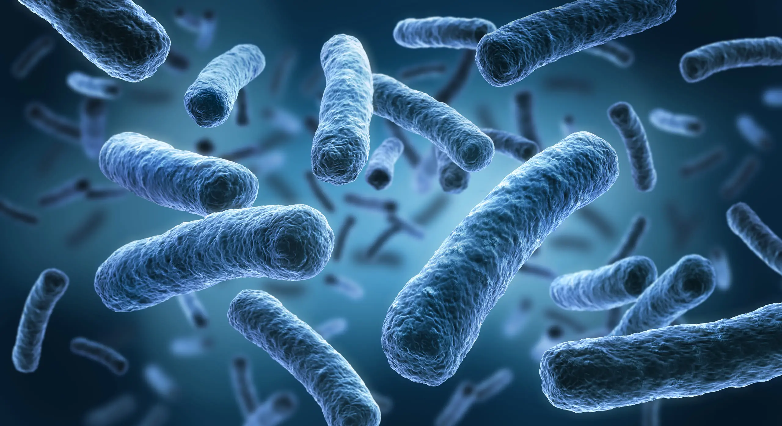 Microbiote intestinal : rôles clés pour la santé