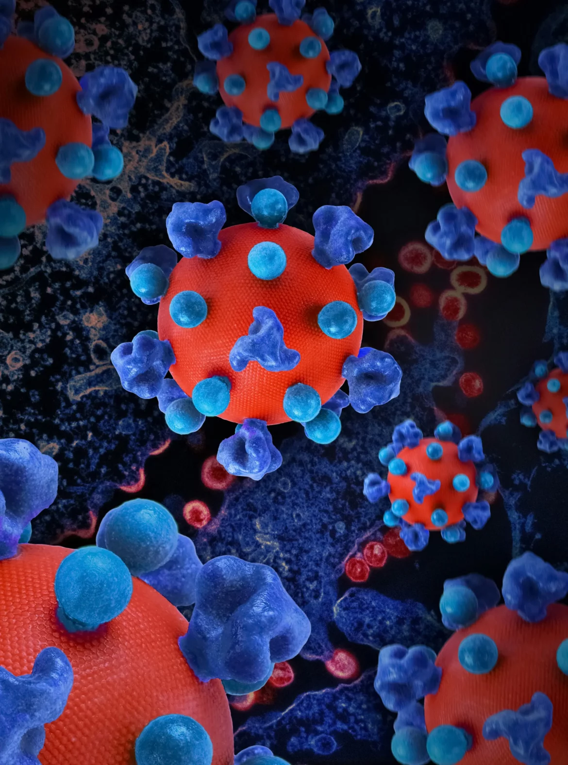 immunité